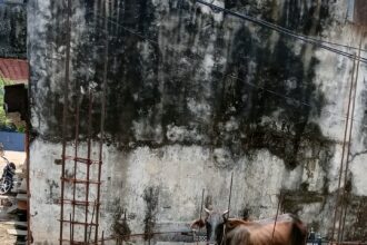 सबलगढ़ भगीरथ कॉलोनी में अवैध बेसमेंट खुदाई से पड़ोसी के मकान को खतरा, SDM का सीलिंग आदेश