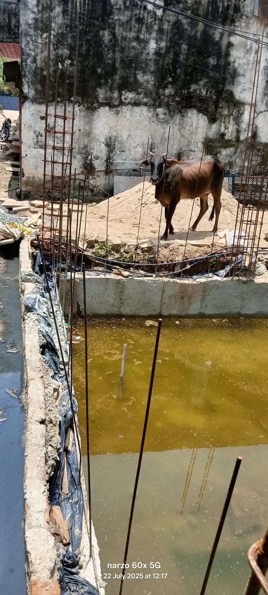 सबलगढ़ भगीरथ कॉलोनी में अवैध बेसमेंट खुदाई से पड़ोसी के मकान को खतरा, SDM का सीलिंग आदेश