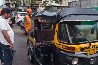 सड़क के किनारे खड़ी ऑटोरिक्शा आग लगने से जलकर खाक