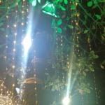 ठाणे में ज़िंदा पेड़ों पर लाइटिंग को बताया गया पर्यावरण अपराध, पर्यावरणविद डॉ. प्रशांत सिंकर ने मुख्यमंत्री देवेंद्र फडणवीस से तत्काल रोक लगाने की मांग की।