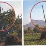 पाटण में मिट्टी उत्खनन का बड़ा खेल! हवा में लटके सैकड़ों बिजली खंभे, बड़े हादसे का खतरा