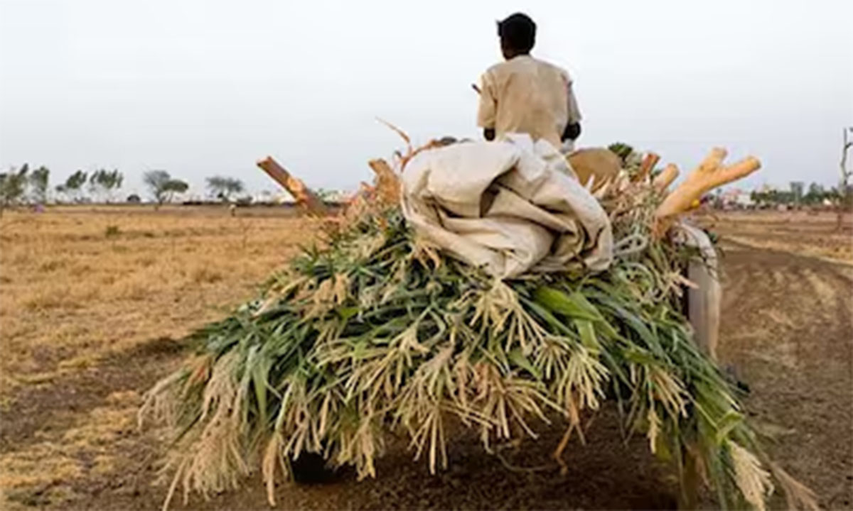 Farmers Penalized
