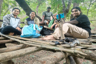 Forest Census