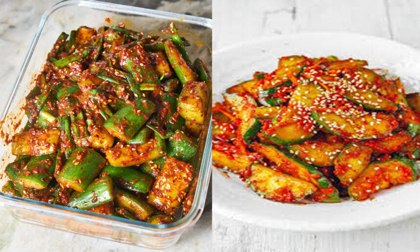 Healthy cucumber Korean Kimchi