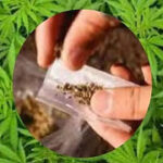 Kalwa Drug Bust