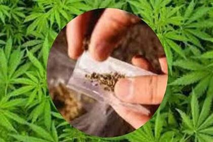 Kalwa Drug Bust