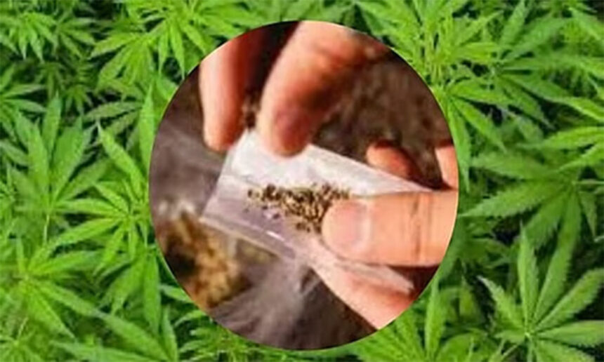 Kalwa Drug Bust
