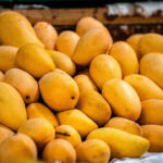 Mango variety History