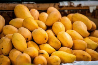 Mango variety History