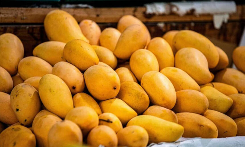 Mango variety History