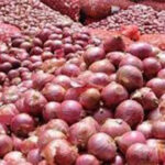 Plunging Onion Prices