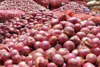 Plunging Onion Prices