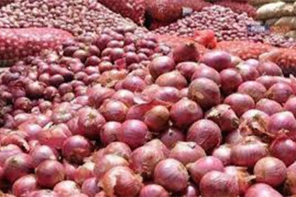 Plunging Onion Prices