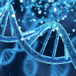 Sri Lanka's DNA Revealed