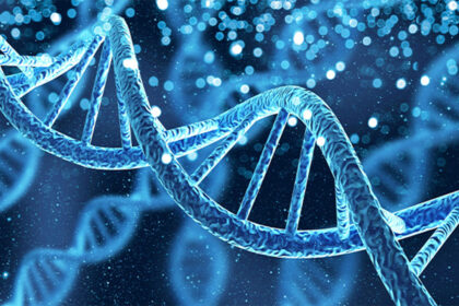 Sri Lanka's DNA Revealed