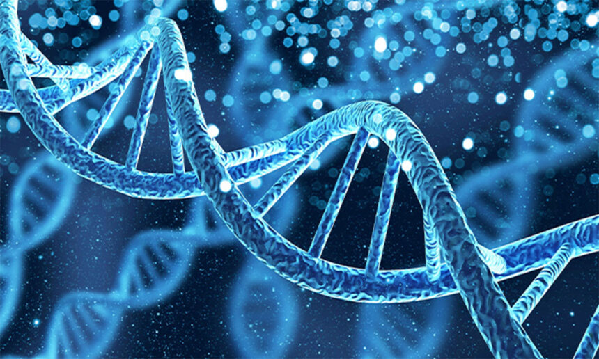Sri Lanka's DNA Revealed