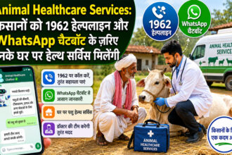 Animal Healthcare Services