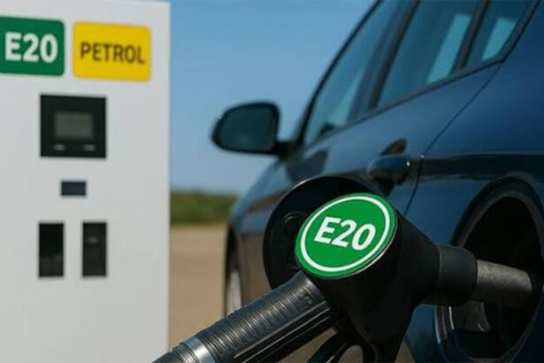 E20 Petrol Controversy
