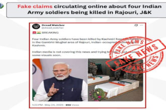 Fact Check