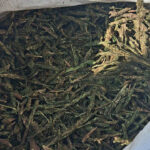 Ganja Seizure