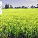 Inera Crop Science