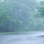 Meteorological Department