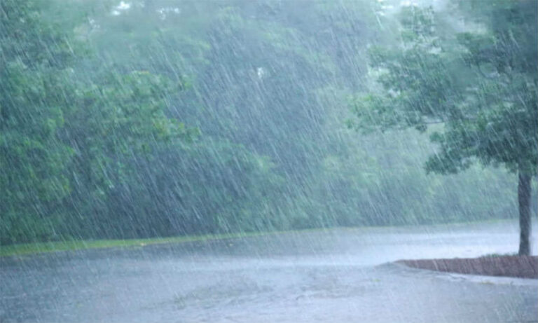 Meteorological Department