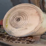 Python Hatchling Found