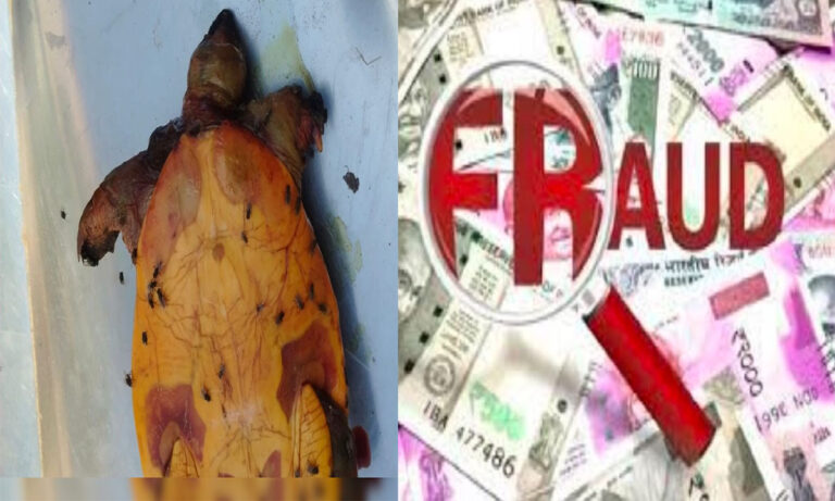 Rajasthan Fraud