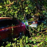 Thane accident