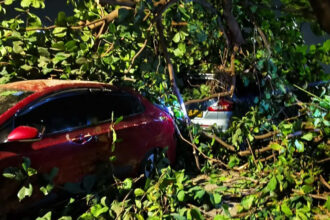 Thane accident