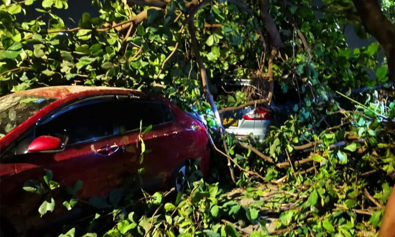 Thane accident