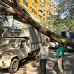 ठाणे में बारिश थमने के बाद भी पेड़ गिरने और जलभराव की घटनाएं जारी