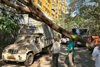 ठाणे में बारिश थमने के बाद भी पेड़ गिरने और जलभराव की घटनाएं जारी