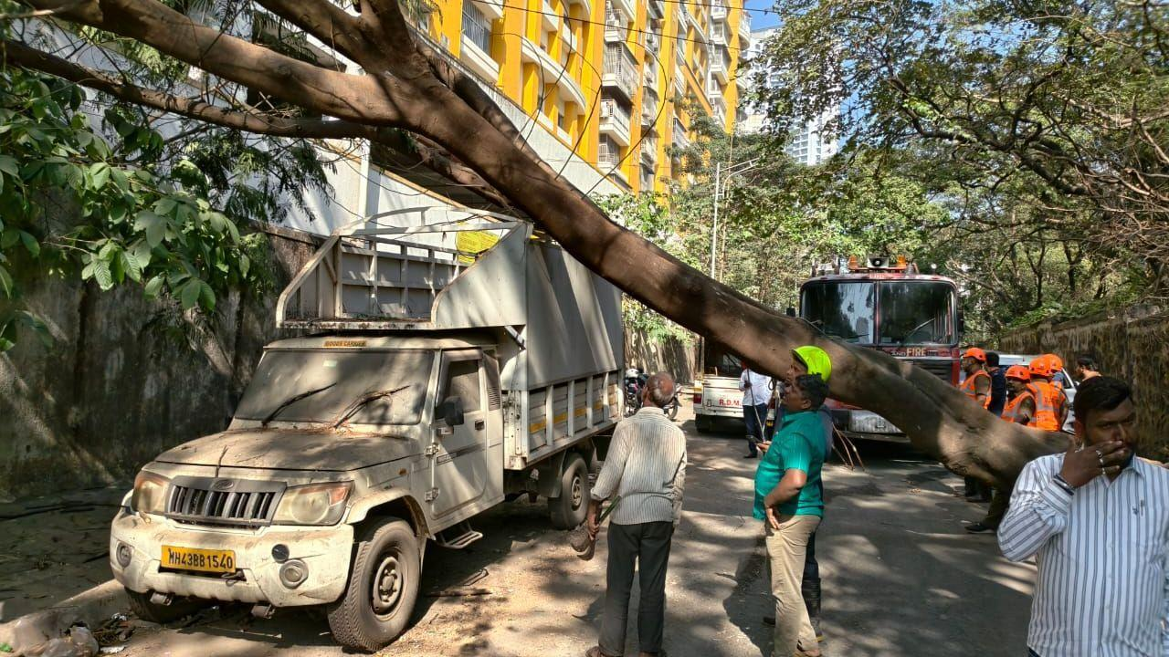 ठाणे में बारिश थमने के बाद भी पेड़ गिरने और जलभराव की घटनाएं जारी