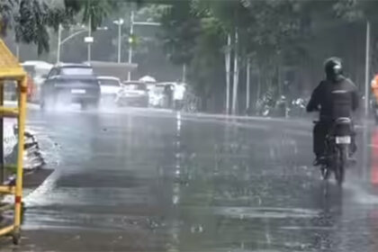 Thane Rains